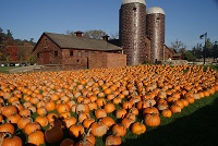 The Rochester Hills Museum at Van Hoosen Farm annual Stone Wall Pumpkin Festiva